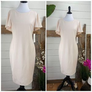 Dress NWT Calvin Klein Pink SZ 8